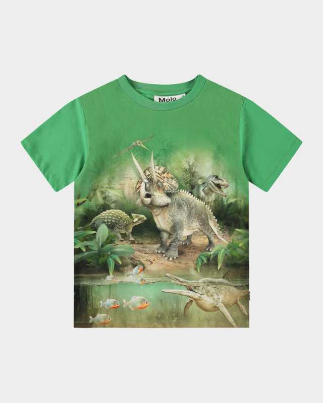 Boy's Riley Dinosaur Graphic T-Shirt, Size 3-7